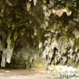 鱗のように壁を覆う鍾乳石-成川ガー