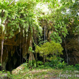ぽっかりと口を開けた洞窟-成川ガー