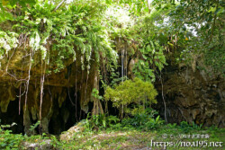 ぽっかりと口を開けた洞窟-成川ガー