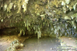 鱗のように壁を覆う鍾乳石-成川ガー