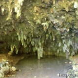 鱗のように壁を覆う鍾乳石-成川ガー