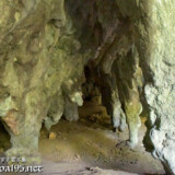 鍾乳石の回廊-成川ガー