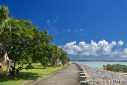 東家へ続く遊歩道-川満漁港