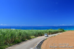 さとうきび畑の農道と青い海