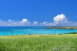 さとうきび畑から見る青い海と入道雲