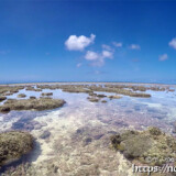 大潮で海上に現れたサンゴ礁-伊良部島シンビジ