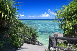 シンビジの青い海とサンゴ礁-伊良部島