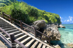 青い海と海に続く階段-伊良部島シンビジ