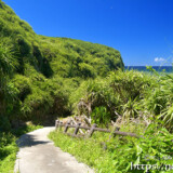 シンビジへ続く小道-伊良部島