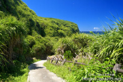 シンビジへ続く小道-伊良部島