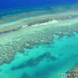 シンビジの透き通った青い海-伊良部島フナウサギバナタ