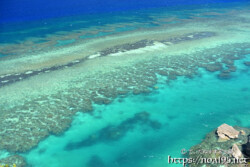 シンビジの透き通った青い海-伊良部島フナウサギバナタ