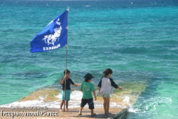 応援の旗を持つ子供-池間島海神祭