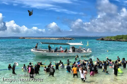 ボートから果物やお菓子がばら撒かれる「餌まき」-池間島海神祭