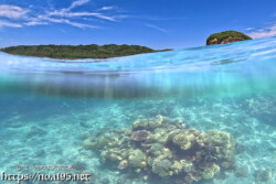 青い波と海中のサンゴ-西表島